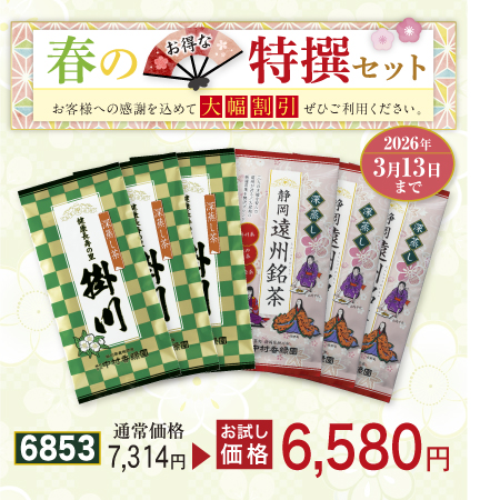 掛川・遠州セット