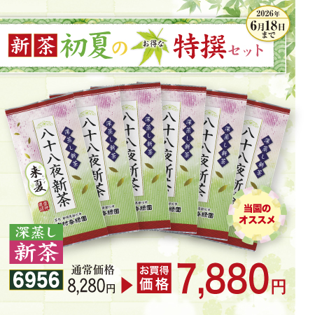 限定新茶 来夏 6本セット