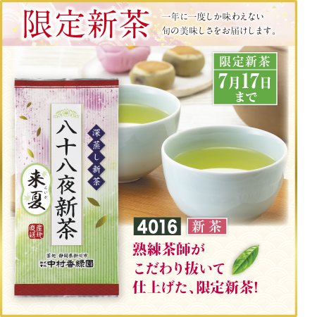 『限定新茶 来夏 100g』 深蒸し掛川茶 緑茶 日本茶