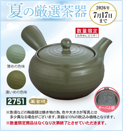 急須 風利休(かぜりきゅう)　萬古焼　オーバル網