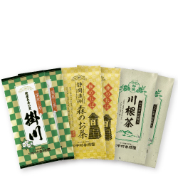 朝顔セット