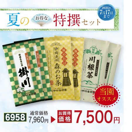 朝顔セット