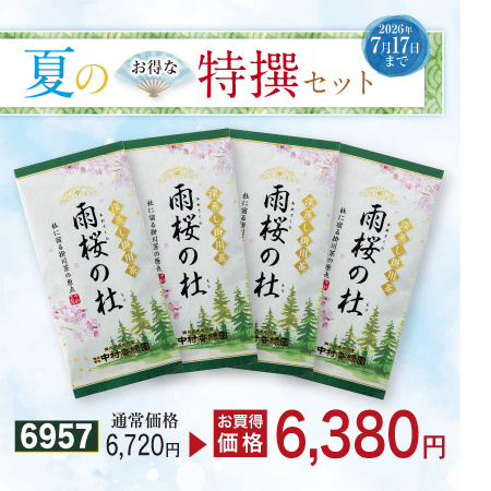 雨桜の杜 4本セット