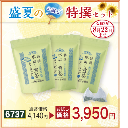 特撰  水出し煎茶TB 3袋セット