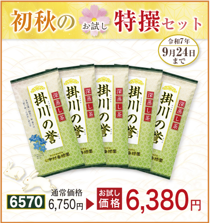 掛川の誉 5本セット