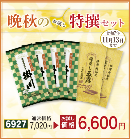 掛川・玉露セット