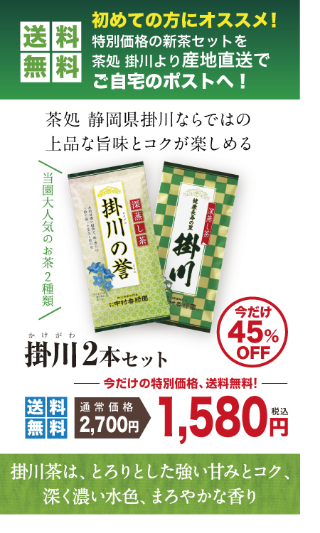 「掛川茶 2本セット」深蒸し茶キャンペーン