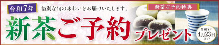深蒸し新茶ご予約承り中。令和7年4月23日まで