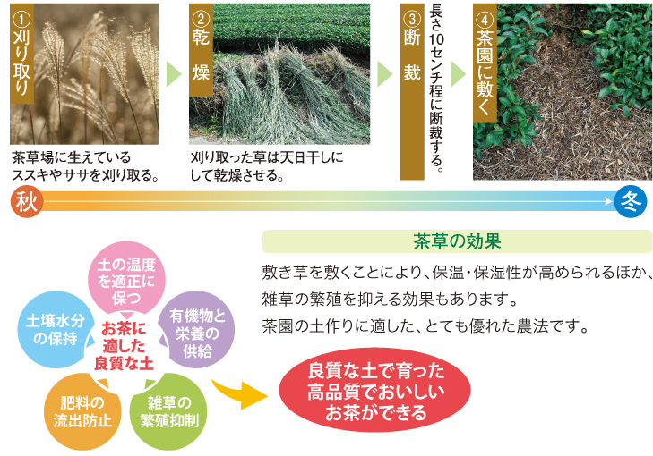 静岡の茶草場農法