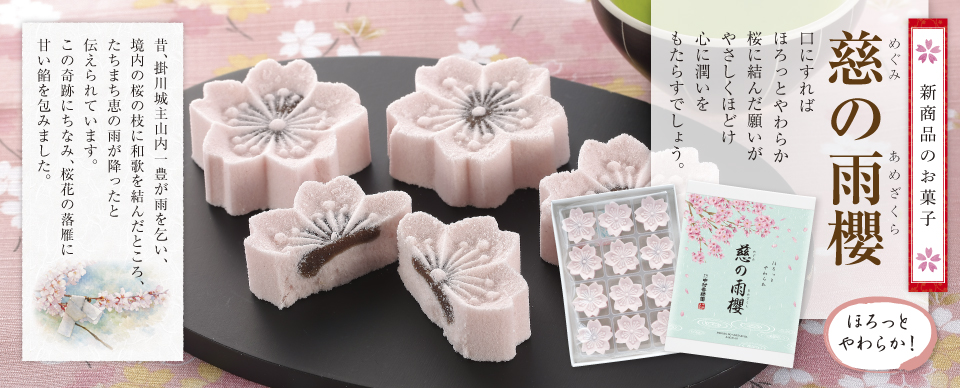 慈の雨櫻_めぐみのあめざくら